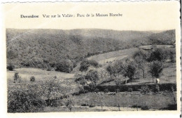 DAVERDISSE - Vue Sur La Vallée : Parc De La Maison Blanche - N'a Pas Circulé - Daverdisse