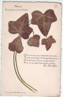 FANTAISIES . FEUILLES DE LIERRE SECHEES . LIERRE . JE MEURE OU JE M'ATTACHE . POEME DE Th . BROUILLET - Toxic Plants