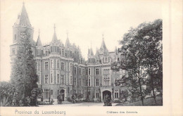 Luxembourg - Province Du Luxembourg - Château Des Amerois - Carte Postale Ancienne - Other & Unclassified
