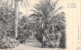 ITALIE - Palermo - Orto Botanico Viale Delle Palme - Carte Postale Ancienne - Otros & Sin Clasificación