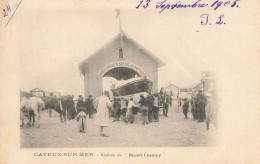 Cayeux Sur Mer * Rentrée Du Canot De Sauvetage BENOIT CHAMPY * Bateau Sauveteurs Lifeguards * 1905 - Cayeux Sur Mer