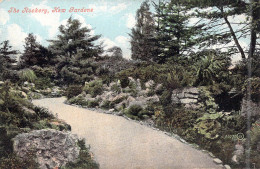 ROYAUME-UNIS - Angleterre - The Rockery - Kew Gardens - Carte Postale Ancienne - Norvège