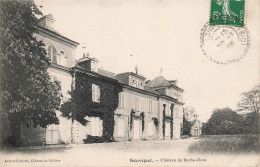 Souvigné * Le Château De Roche Dain - Other & Unclassified