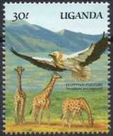 UGANDA 1998 - 1v - MNH - Giraffes Giraffe Girafes Giraffen Girafe Giraffe Jirafa Jirafas - Mammals - Fauna - Girafes