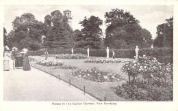 ROYAUME-UNIS - Angleterre - Roses In The Italian Garden - Kew Gardens - Carte Postale Ancienne - Norway