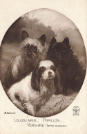 Chiens * CPA Carte Photo * Race Yorkshire ( Terrier écossais ) Loulou Nain & Papillon * Illustrateur E. Samson Chien Dog - Dogs