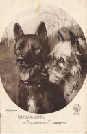 Chiens * CPA Carte Photo * Race Groënendael & Bouvier Des Flandres * Illustrateur E. Samson Chien Dog - Dogs