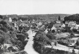 CPSM - (37) - REUGNY - Vue Générale 1962 .Edition "Les Donjons" - Reugny