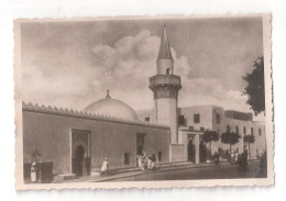 LIBYE LIBYA TRIPOLI Uncaptioned "UBERMOLE" - KINGDOM OF LIBYA - UNUSED - Libia