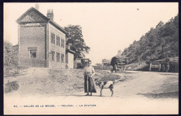 +++ CPA - Vallée De La Meuse - TAILFER - La Station - Gare - Carte Animée - Attelage  // - Profondeville