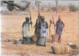 CPA-1960-GAMBIE-PREPARATION Du REPAS-BE - Gambia