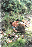 CPA-1960-POLYNESIE-ILES MARQUISES-NUKA-HIVA-Travail Du Coprah Dans La Montagne-TBE - Polynésie Française