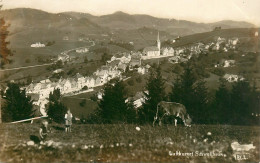 CPSM Luftkurort Schwellbrunn-Timbre-RARE    L2158 - Schwellbrunn