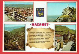 Mazamet - Vues Diverses - Centre Mondial De Délainage - Mazamet