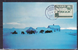 Islande - Carte Postale De 1951 - Oblit Hella - U.P.U. - Valeur 12,50 Euros - Cartas & Documentos