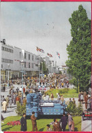 FIERA DI MILANO 1955 - VIALE DELL'INDUSTRIA - VIAGGIATA DA VARESE 1955 - ANNULLO CONALBI - Fairs