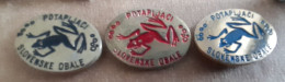 Scuba Diving Club Potapljaci Slovenske Obale Underwater Diving Frog Slovenia Pins - Nuoto