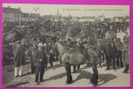 Cpa Baugy Champ De Foire Examen D'un Cheval Carte Postale 18 Cher Proche Bourges - Baugy