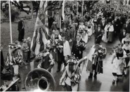 SACHSELN ► Festumzug, Foto Reinhard Sachseln, Ca.1960 - Sachseln