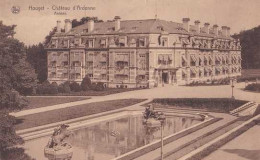 Houyet - Château D'Ardenne - Annexe - Pas Circulé - TBE - Houyet