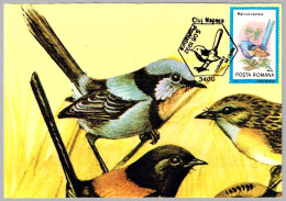 MALURUS CYANEUS - Ratona Australiana Azul - Superb Fairywren. Cluj Napoca 1992 - Mechanical Postmarks (Advertisement)