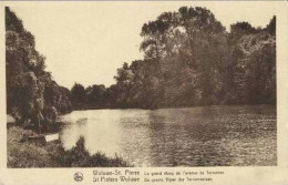 WOLUWE-St-PIERRE - Grand Etang De L'Avenue De Tervueren - Edité Par La Commission Officielle Des Sites Et Monuments - St-Pieters-Woluwe - Woluwe-St-Pierre