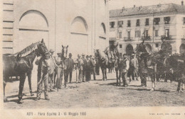 Asti Italia (8286) Fiera Equina - 3 - 10 Maggio 1903 - Rara, Précurseur - Asti