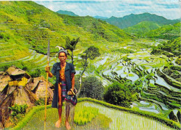 Asie PHILIPPINES  The Banaue Rice Terraces Rizières Riz  -  National Book Store KRUGER 17454 * PRIX FIXE - Philippines