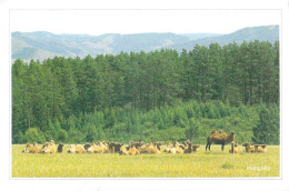 Asie > MONGOLIA Mongolie  Photo By MU Photo Agency - Voir Description *PRIX FIXE - Mongolia