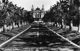 MONTE CARLO   CASINO     ET JARDINS - Monte-Carlo