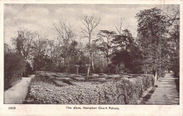 ANGLETERRE - The Maze - Hampton Court Palace - Carte Postale Ancienne - Otros & Sin Clasificación