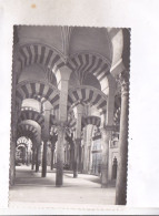 CPA PHOTO CORDOBA,  MEZQUITA CATEDRAL  COLUMNAS  En 1952 (voir Tmbres) - Córdoba