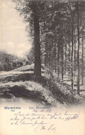 BELGIQUE - WAREMME - Les Remparts - Carte Postale Ancienne - Andere & Zonder Classificatie