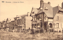 BELGIQUE - Waremme - Avenue Des Tilleuls - Carte Postale Ancienne - Other & Unclassified