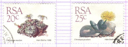 RSA+ Südafrika 1988 Mi 749-50 Sukkulenten - Used Stamps