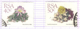 RSA+ Südafrika 1988 Mi 753-54 Sukkulenten - Usati