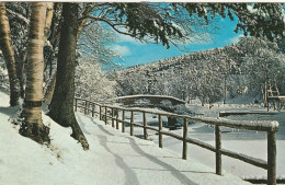 St. John's Newfoundland  Winter Scene In Beautiful Bowring, Park - St. John's