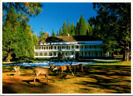 California Yosemite National Park The Wawona Hotel - Yosemite