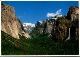 California Yosemite Memorial Park General View - Yosemite