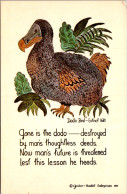 Rhode Island Watch Hill The Book And Tackle Shop The Dodo Bird - Otros & Sin Clasificación