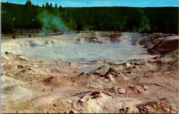 Yellowstone National Park Fountain Paint Pot At Lower Geyser Basin - USA Nationalparks