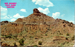 Texas Palo Duro Canyon Rock Formation "Sad Monkey" Near Amarillo 1975 - Amarillo