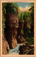 New York Ausable Chasm Column Rock Curteich - Adirondack