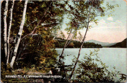New York Adirondacks Whiteface Mountain Through The Birches 1908 - Adirondack