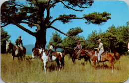 New York Horseback Riders With View Of Lake George - Lake George