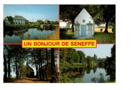 Seneffe ( Lot De 3 Cartes Postales ) - Seneffe