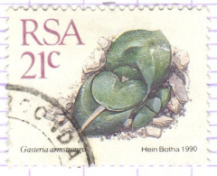 RSA+ Südafrika 1990 Mi 794 Sukkulente - Used Stamps