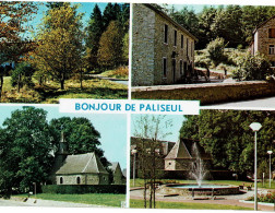 Paliseul - Paliseul