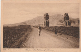 THEBES - THE COLLOSI OF MEMNON - Sphinx