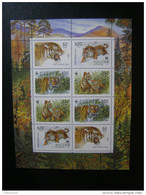RUSSIA 1993 MNH (**)YVERT 6029-6032 The Ussuri Tiger .Sheet. Small.Oussouri Tigre .La Feuille. Petit - Feuilles Complètes